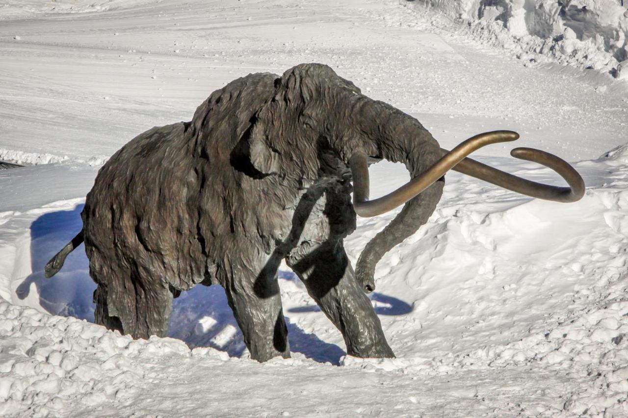 Sierra Megeve Appartement Mammoth Lakes